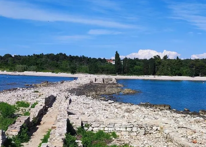 아파트 Sara & Dario 브르토니글라