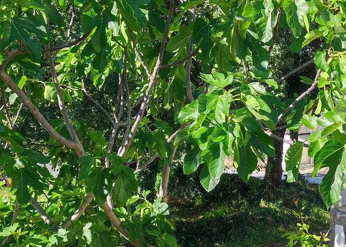 Sara & Dario 아파트