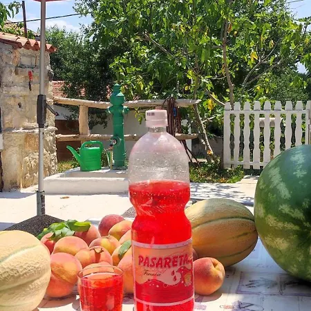 Sara & Dario Brtonigla